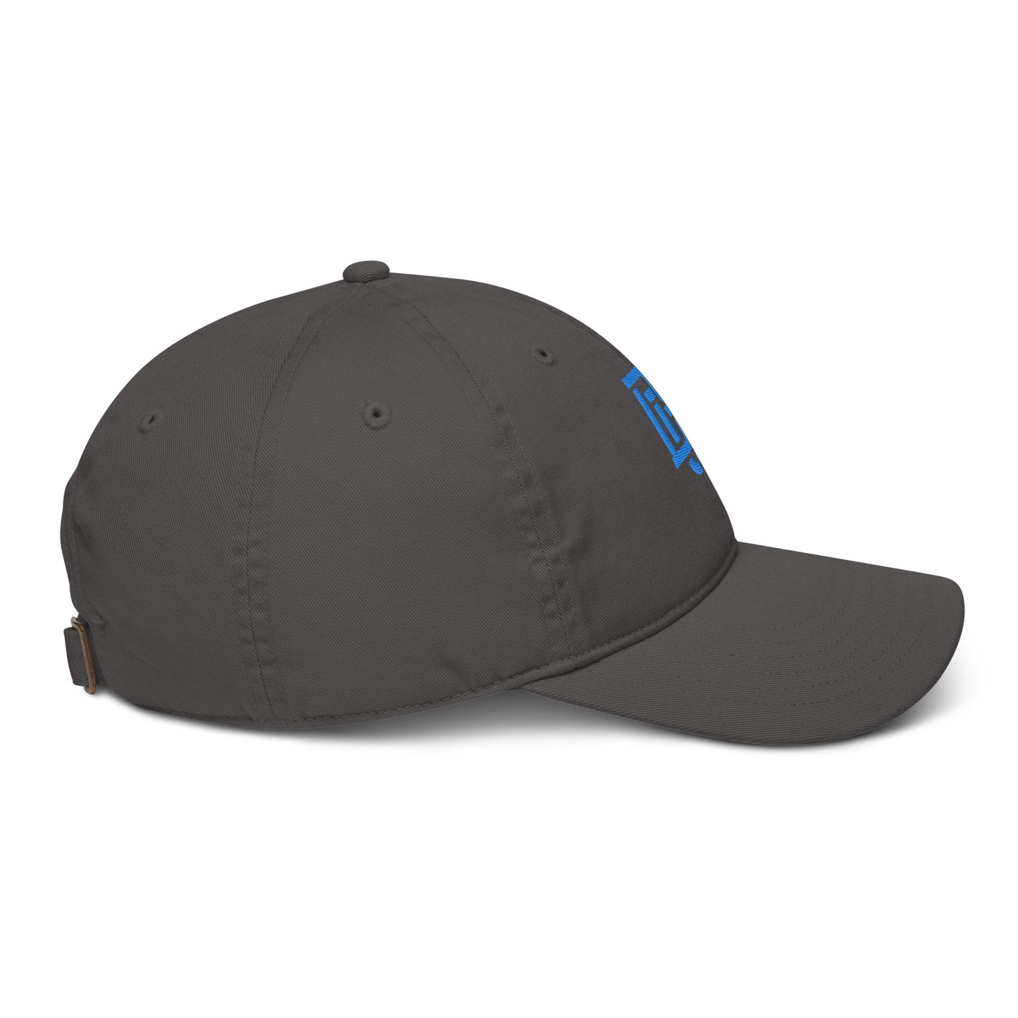 "DGO" Organic Baseball Cap | Econscious EC7000 | E Luna Brand ESSENTIAL Duocrest 2 Aqua/Teal Thread Logos: Front & Left