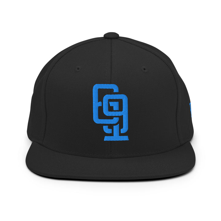 "619" Wool Blend Snapback | E Luna Brand ESSENTIAL | 2 Aqua/Teal Thread Logos | 3D Puff Edition