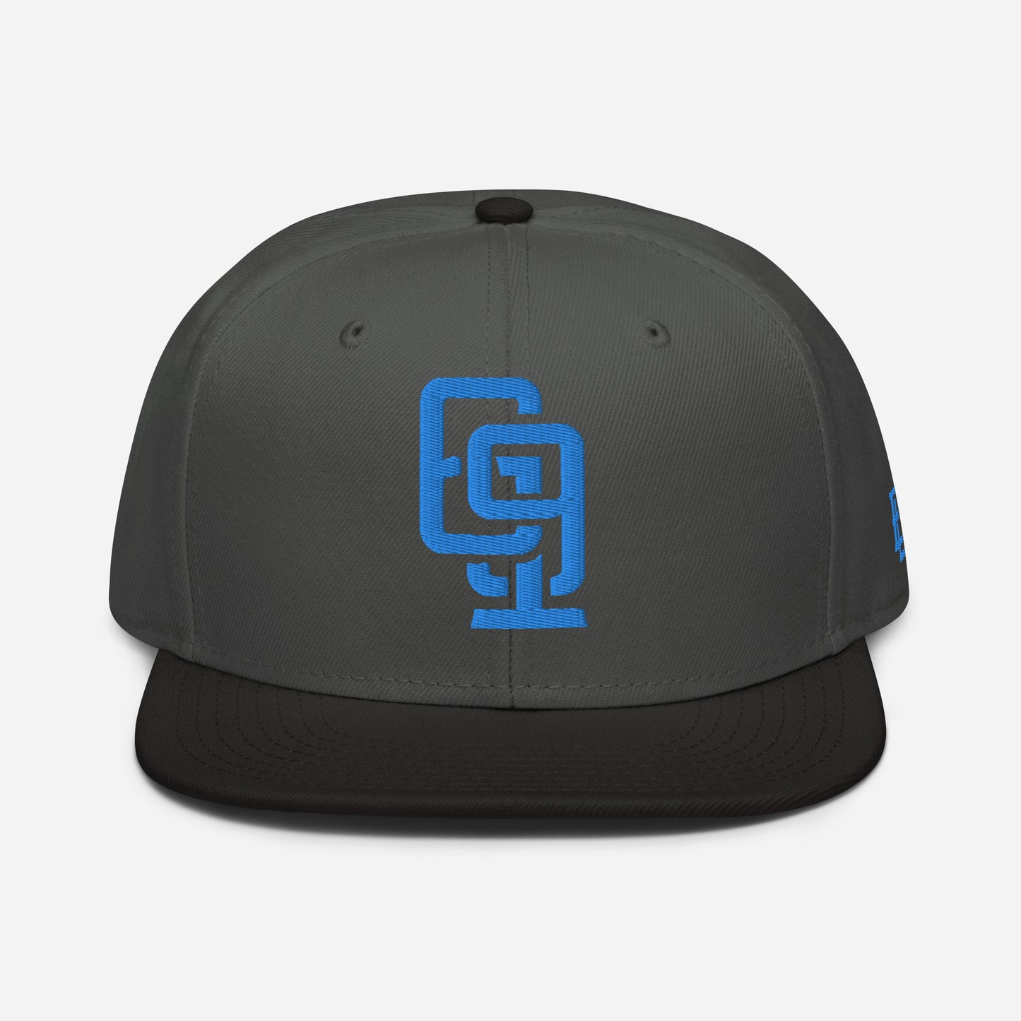 "619" Snapback Otto Cap | E Luna Brand ESSENTIAL | 2 Aqua/Teal Thread Logos